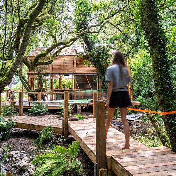 A pub in a Cornish forest