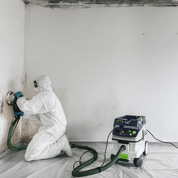 When removing mould, Marco Müller always wears a protective suit and never works without the class H extractor.